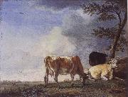 POTTER, Paulus Three Cows in a Pasture Spain oil painting artist